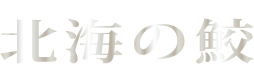 北海の鮫